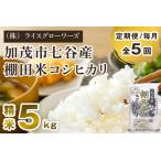 七谷産 棚田米コシヒカリ 精米5kg