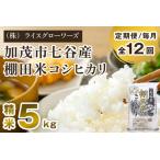 七谷産 棚田米コシヒカリ 精米5kg