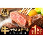 ふるさと納税 牛ハラミステーキ 総量 1kg 以上 ガーリックバター味【小分け 10枚 厚切りカット 牛肉 焼くだけ BBQ やきにく】 大阪府泉佐野市