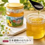 MS-81 産プレミアムはちみつ 日本蜜蜂のはちみつ 290g×1本