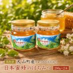 MS-82 産プレミアムはちみつ 日本蜜蜂のはちみつ 290g×2本