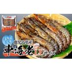 fu.... налог Кагосима префектура производство ... рефрижератор море .(..)LL размер 300g(10~12 хвост )1 упаковка комплект [ море .] Кагосима префектура магазин . остров блок 