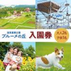 滋賀農業公園 ブルーメの丘 大人2名 1名×2枚