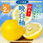 晩白柚 Lサイズ 2玉