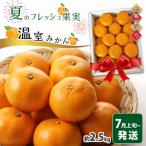 温室みかん 約2.5kg