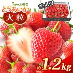 ぎっしり とちあいか 約1.2kg