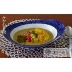 G226a 〈平戸嘉祥窯〉みかわちカレー皿