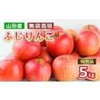 ふるさと納税 山形産 無袋栽培 ふじりんご 特秀 5kg (13〜20玉) FY25-816 山形県山形市