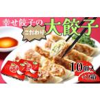 幸せ餃子 ボリューム満点こだわり大餃子