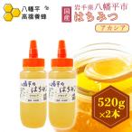 アカシア 蜂蜜 非加熱 520g