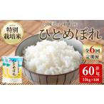 特別栽培米 ひとめぼれ 10kg×6回