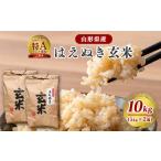 ふるさと納税 【令和7年産】はえぬき 玄米 10kg(5kg×2袋)2025年産【2025年10月頃から12月頃に順次発送予定】 026-C-JF006-2025 山形県寒河江市