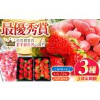 さがほのかいちごさん冷凍いちご HAF027