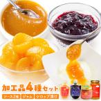 加工品4種セット ソース 2種
