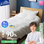 手洗いできるウクライナホワイトダウン90%