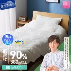 手洗いできるウクライナホワイトダウン93%