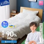 手洗いできるウクライナホワイトダウン93%