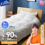 手洗いできるウクライナホワイトダウン90%
