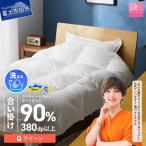手洗いできるウクライナホワイトダウン90%
