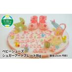 ベビーシューズ シュガープレートbig