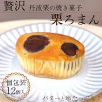丹波銘菓物語 栗ろまん 洋菓子館ベルジェノア