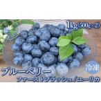 冷凍 ユーリカとファーストブラッシュ 1kg