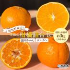 ふるさと納税 <旬をお届け!季節の柑橘 2回定期便(温州みかん約3kg・ポンカン約3kg)>ミカン ぽんかん 蜜柑 果物 果実 フルーツ お楽しみ 2種.. 愛媛県西予市