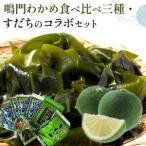 鳴門わかめ 食べ比べ カットわかめ 16g×5