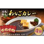 FISH COOK BOOK 対馬防人あなごカレー 4個