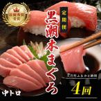 訳あり 不定貫 定期便4回 日本一 黒潮本まぐろ