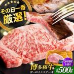 サーロイン 500g