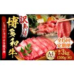 牛肉切り落し 500g