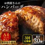 手ごね ハンバーグ 10個