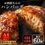 手ごね ハンバーグ 10個