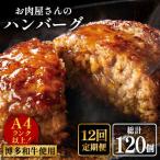 手ごね ハンバーグ 10個