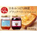 日本みつばち 蜂蜜 天使の宝 &無農薬 ブラックベリー