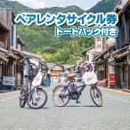 レンタサイクル券 電動自転車 うだつの町並み