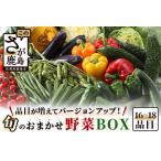 旬のおまかせ野菜BOXセット 16~18品目お届け