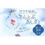 ガラス風鈴 そらとぶきんぎょ 種類 ※備考欄にてご希望の種…