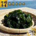DH030 有明海産島原わかめ 280g×2