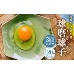 球磨球子 40個×3回