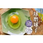 球磨球子 60個入×12回 合計720個