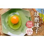 球磨球子 80個×6回