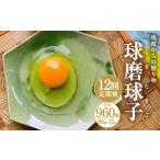 球磨球子 80個×12回