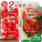 いちご2種類 食べ比べ 約250g×4P