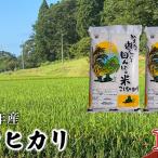 コシヒカリ 白米 令和7年