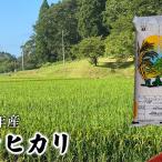 コシヒカリ 白米 令和7年