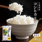 お米 令和7年 コシヒカリ 無洗米 5kg