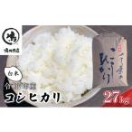 コシヒカリ 白米 令和7年