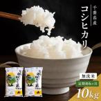 コシヒカリ 白米 令和7年